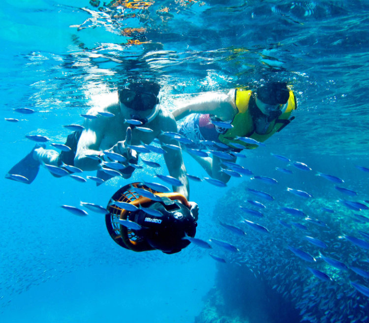 Snorkeling em Los Arcos - Grand Velas Los Cabos Mexico