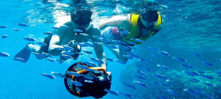 Snorkeling em Los Arcos Mexico - Grand Velas Los Cabos