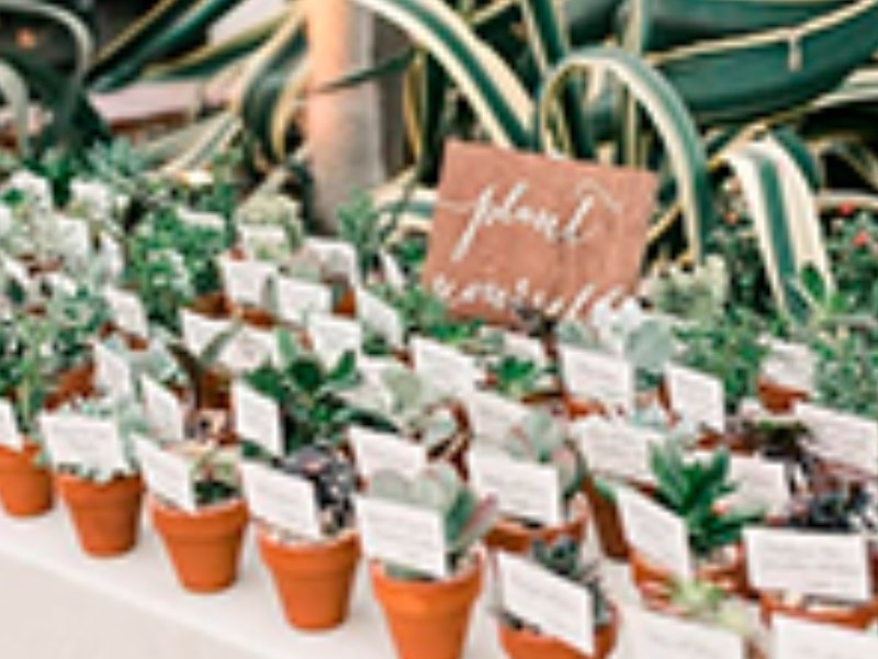 10 Fun And Eco-Friendly Wedding Favors Ideas For A Sustainable Celebration