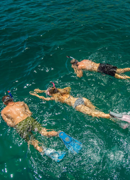 Snorkeling in Los Cabos Hotel of Grand Velas